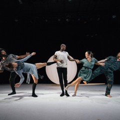 schallbauer - everyness ( wang ramirez show )