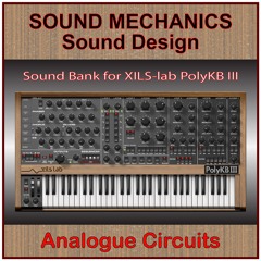 Analogue Circuits for PolyKB Ill Demo 1
