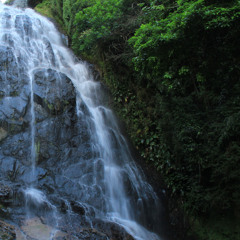 Milonga do Quem Dera (Tiago Brizolara / Iara Germer)