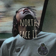 north face 2