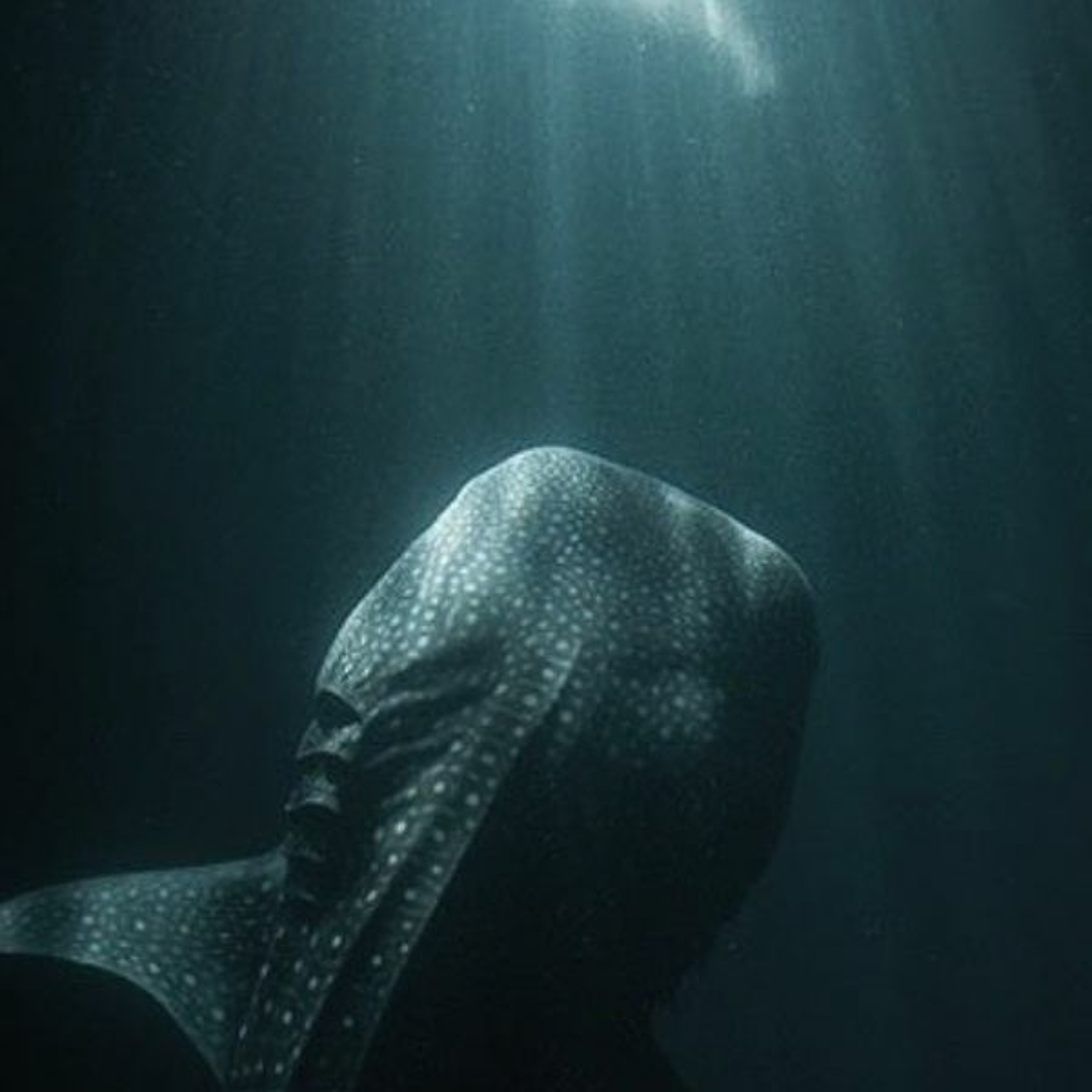 22 September 2019 | Jonah 1 17 - 2 10 -- Gabby Gustafson episode artwork