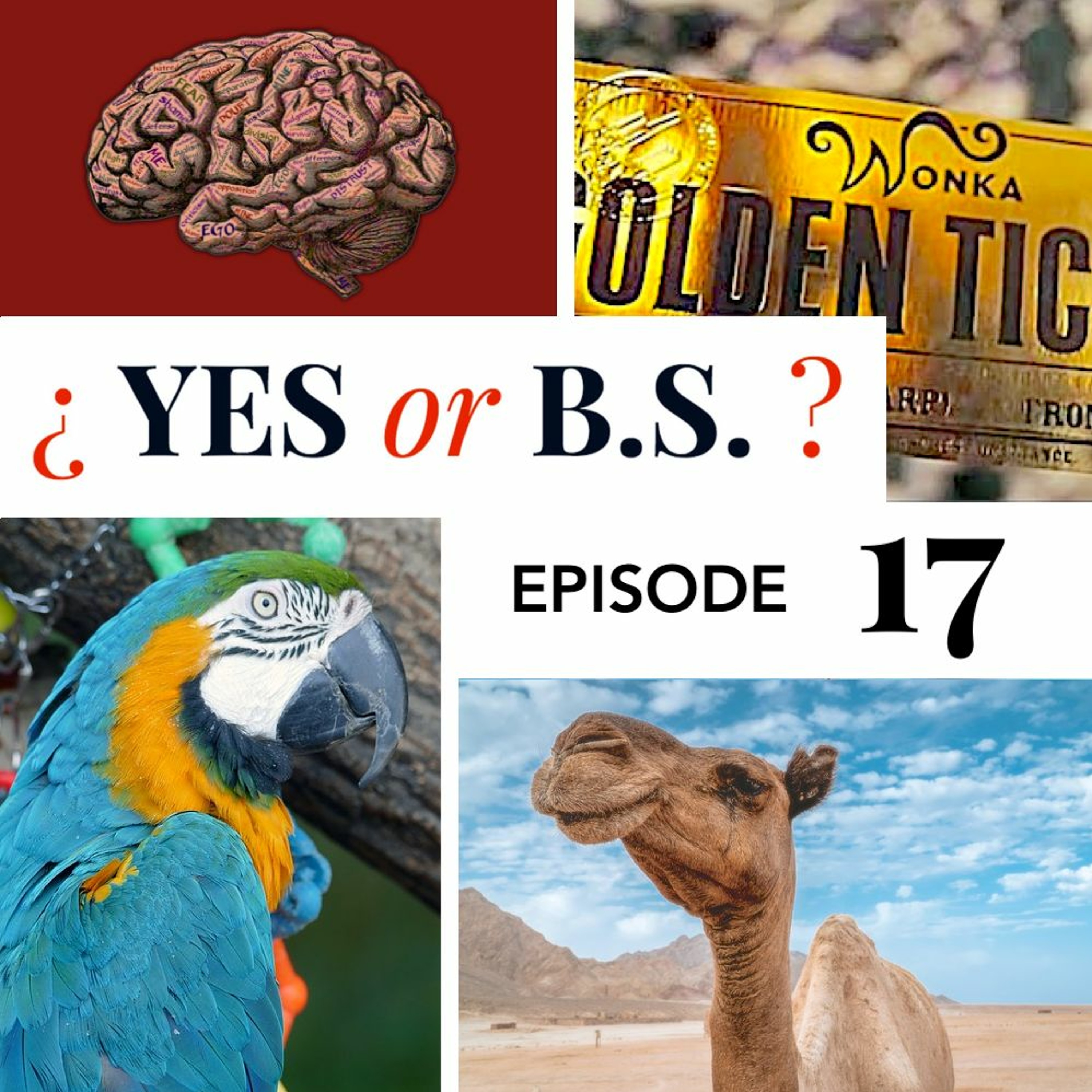 Episode 17: Was a swearing parrot removed from President Jackson’s funeral?