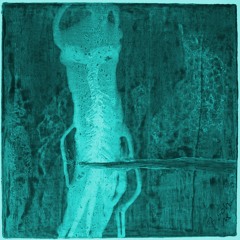 Salamander / Chimära (Taxon Live)