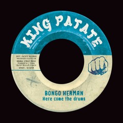 Bongo Herman - Here come the drums