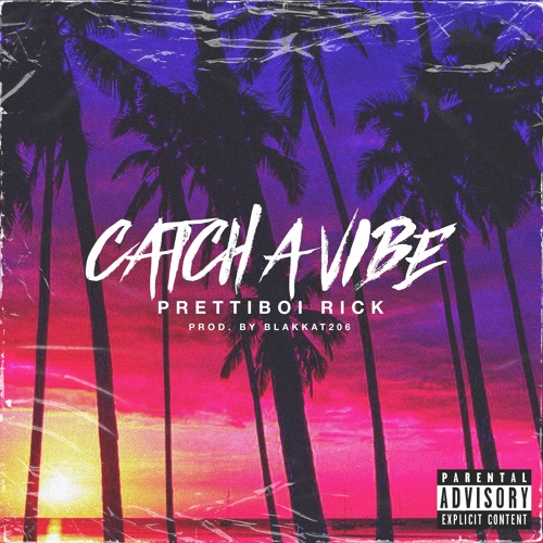 Catch A Vibe (Prod by BlakKat206) (music video in description)