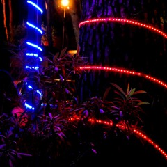 Past Life (ft. Hachuoy, Vluestar)