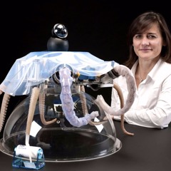 Soft Robotics with Cecilia Laschi