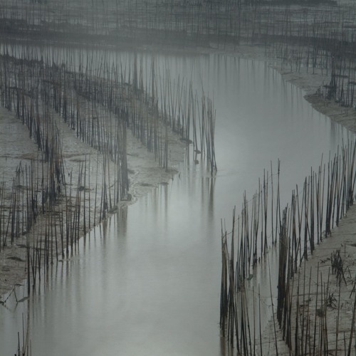 Kryptic Minds - Untitled 15 (Sarsy Edit + Extension)