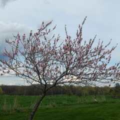 This Guy's In Love With You