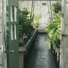 Greenhouse