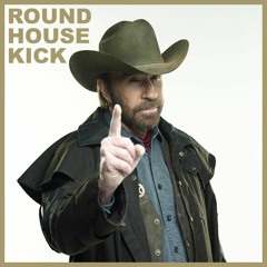 0154_roundhousekick