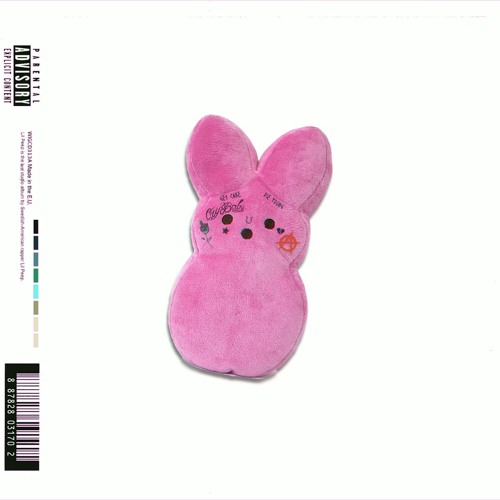 lil peep stuffed animal