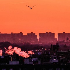 Views From The El