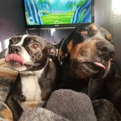 Missed Connection (Not the Time) [Draft]