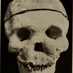 Deep Sleep Therapy - LIV