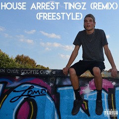 House Arrest Tingz (Remix) (freestyle)