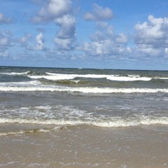 S.O.S Red Climate Alarm