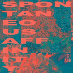 Spontaneous Affinity #021: A.M.D