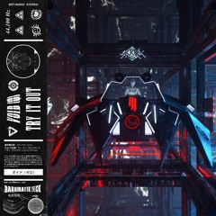 Skrillex & Alvin Risk - Try It Out (void(0) recoded)