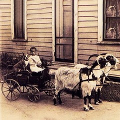 Magic Wagon