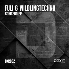 Fuli & WildlingTechno - Placebo (Original Mix) PREVIEW SNIPET