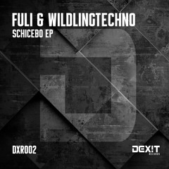 Fuli & WildlingTechno - Schikane (Original Mix) PREVIEW SNIPET