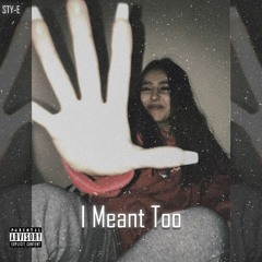STY-E - I Meant Too (Prod. Hozay Beats)