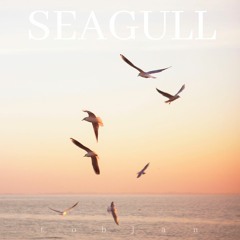 Seagull (Free Download)