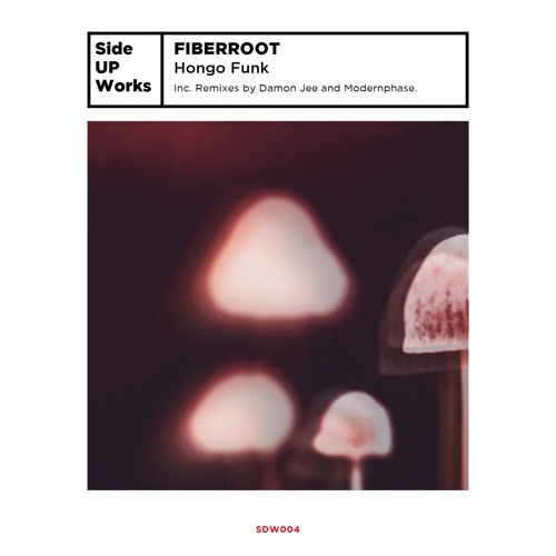 SPÆCIAL PREMIERE : Fiberroot - Trindello [Side UP Works]