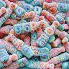 acidcore