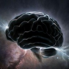 Some Thoughts On Human Nature