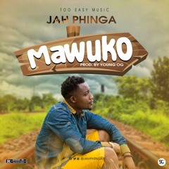 Mawuko (Prod. by Young OG beats)