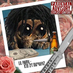 Lil Pavuk - КТО ТУТ ПАУЧАРА?