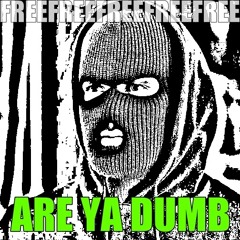 Flextime - Are Ya Dumb (OUT NOW ON BEATROOT RECORDS)