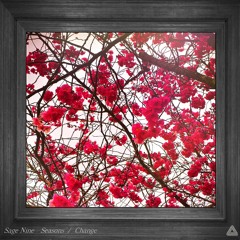 Leaves In The Wind