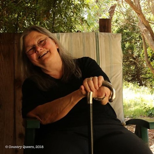 Stream Dorothy Allison on Class, Language, & Memory by WMMT Public ...