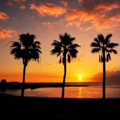 Despacito Guitar Loop Instrumental Live Sept'19