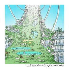 Scuba - Expectations (Snippets)