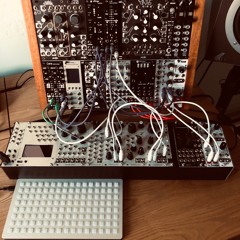 100119002 modular - wogglebug disting