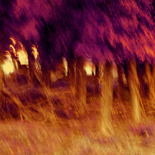 Cecilia/numbers in the dream - Moon Beats