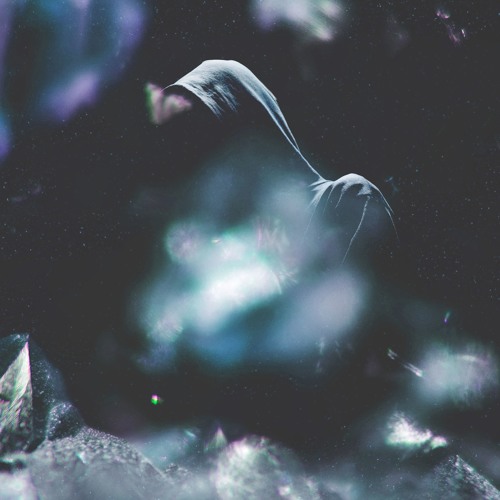for what it's worth (w/ wojtek)