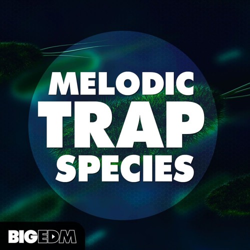 550+ Powerful Melodies, Presets & Drums | Melodic Trap Species