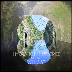 Hydration Mix Series No. 36 - The Willisist