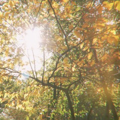 oct 19 :)