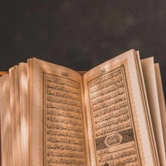 الحكمة من ضوابط المظهر بين البشر | أيمن عبد الرحيم
