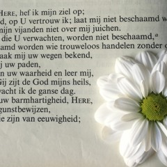 Mijn Redder - Helders Licht