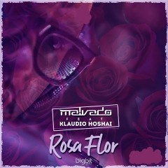 DJ Malvado feat. Klaudio Hoshai - Rosa Flor