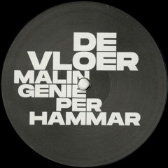 Malin Genie & Per Hammar - Skull EP (VLOER01)