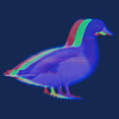 The Feathers