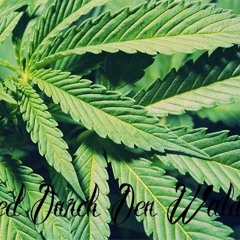 GReeeN - Stoned durch den Wald(Devas! Remix!)